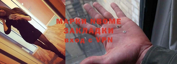 шишки Сатка
