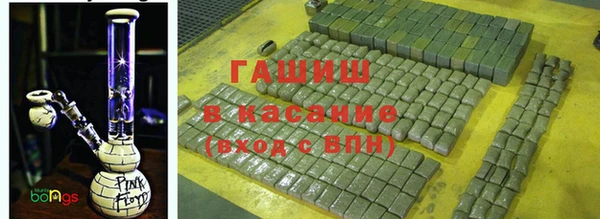 сатива Россошь