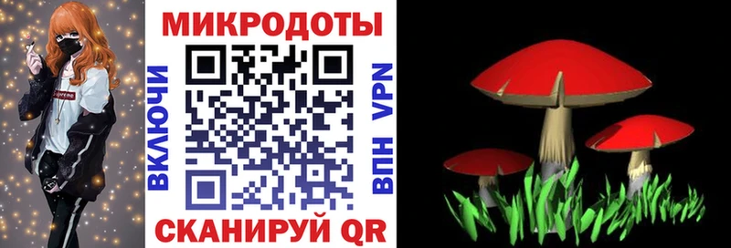 наркошоп  Невьянск  Галлюциногенные грибы GOLDEN TEACHER 